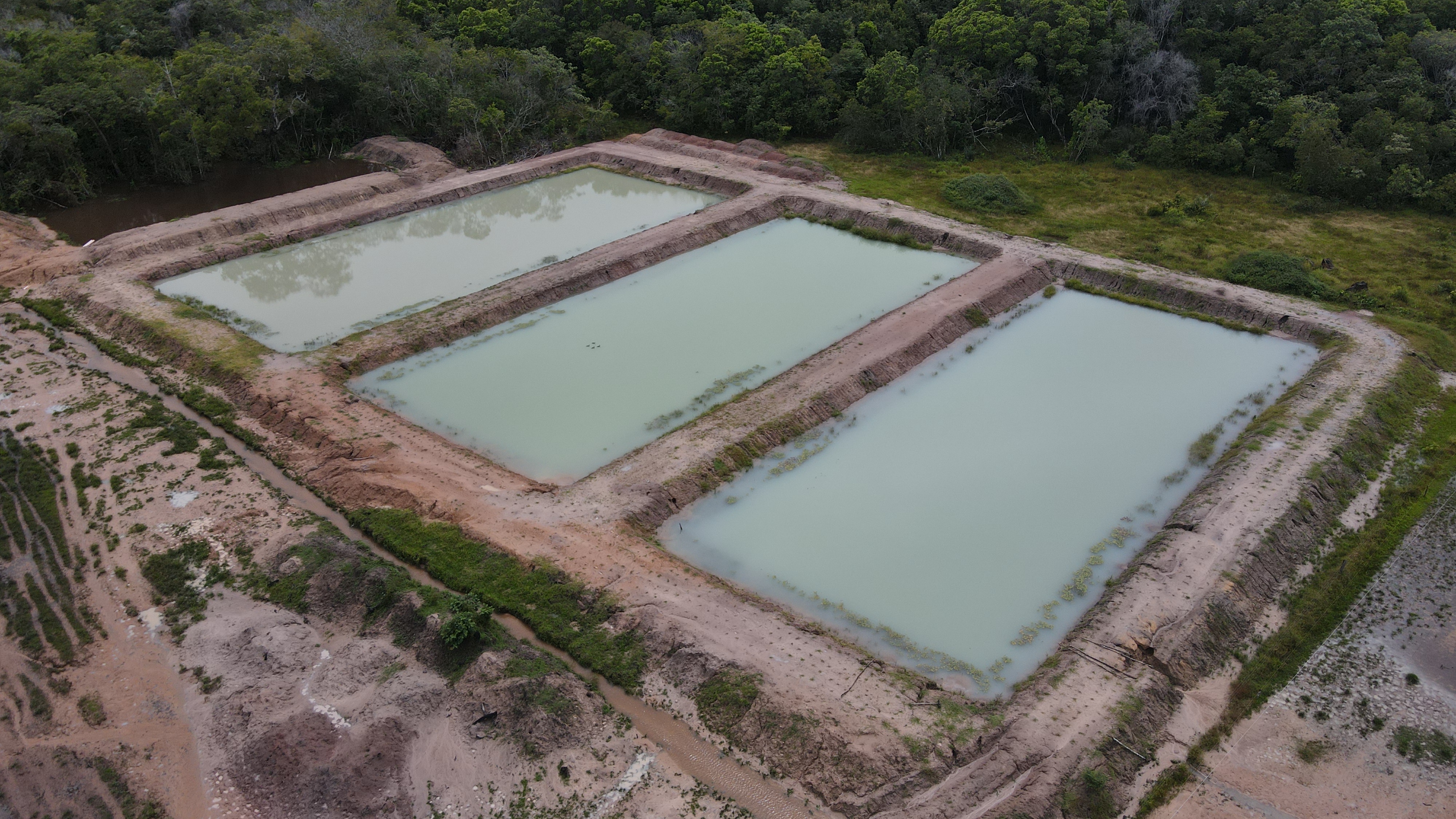 Piscicultura em tanque escavado